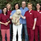 Unternehmen 2 Bild TIERGESUNDHEITSZENTRUM DRES. SCHICHL Ärzte am Gratkorn 6
