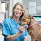 Unternehmen 1 Bild TIERKLINIK ASPERN Ärzte am Wien 9