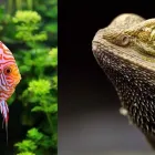 Unternehmen 10 Bild ZOO MUSER GMBH Zoohandlungen am Graz 6