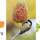 Unternehmen 11 Bild ZOO MUSER GMBH Zoohandlungen am Graz 6