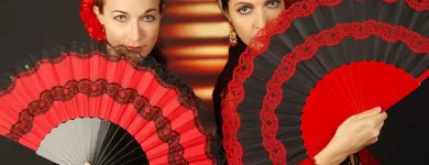Unternehmen 2 Bild ACADEMIA FLAMENCA LAS HERMANAS Tanzschulen am Graz 6
