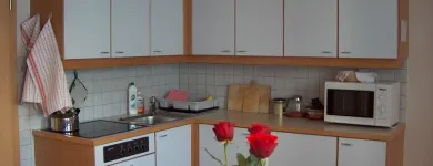 Unternehmen 12 Bild APPARTEMENTS FLEGER GESMBH Verleihunternehmen, Vermietungsunternehmen, Vermittlungsunternehmen am Wien 9