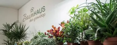 Unternehmen 2 Bild BAUMHAUS – DEIN GROWSHOP GMBH Obst, Gemüse Einzelhandel am Graz 6
