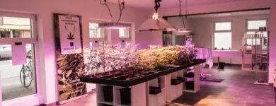 Unternehmen 5 Bild BAUMHAUS – DEIN GROWSHOP GMBH Obst, Gemüse Einzelhandel am Graz 6