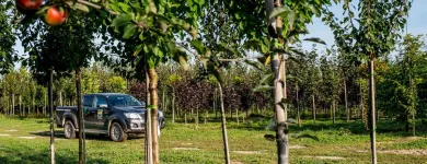 Unternehmen 1 Bild BAUMSCHULEN ALOIS STÖCKL GMBH Land-/Forstwirtschaft/Fischerei am Zell An Der Pram 4