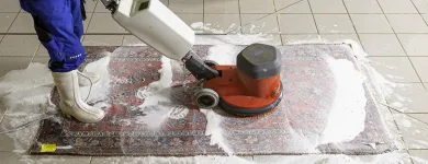 Unternehmen 6 Bild BIO TEPPICHREINIGUNG GRAZ Teppichreinigung, Polstermöbelreinigung am Graz 6