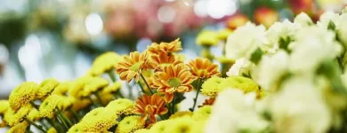 Unternehmen 3 Bild BLUMEN ENGELE - INH MARIO MARBLER Land-/Forstwirtschaft/Fischerei am Graz 6