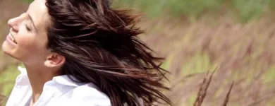 Unternehmen 3 Bild BSTÄNDIG PAUL GESMBH Medizinische Geräte und Reparatur Wartung am Wien 9