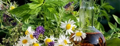 Unternehmen 3 Bild CHRISTOPHORUS APOTHEKE Medizin/Gesundheitswesen am Eferding 4