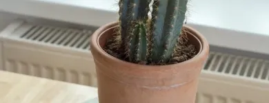 Unternehmen 13 Bild GARTL APARTMENTS & HOSTEL VIENNA Verleihunternehmen, Vermietungsunternehmen, Vermittlungsunternehmen am Wien 9