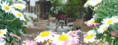 Unternehmen 3 Bild HOCHL FLORISTIK Garten/Pflanzen am Graz 6