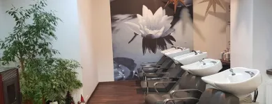 Unternehmen 2 Bild I.N. ROTHEN HAARSTUDIO & KAFFEEBAR Kosmetiksalons am Wien 9