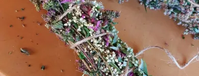 Unternehmen 11 Bild KRÄUTERERLEBEN Ärzte am Zell An Der Pram 4