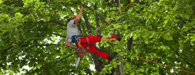 Unternehmen 1 Bild MASCHINENRING EFERDING Verleihunternehmen, Vermietungsunternehmen, Vermittlungsunternehmen am Eferding 4