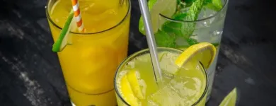 Unternehmen 7 Bild MY INDIGO PROMENADEN GALERIEN Vegetarische Restaurants am Linz 4