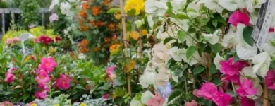 Unternehmen 3 Bild NEUHOLD GARTENCENTER Garten/Pflanzen am Hausmannstätten 6