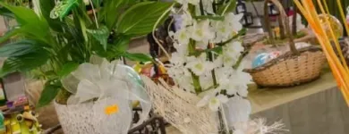 Unternehmen 5 Bild NEUHOLD GARTENCENTER Garten/Pflanzen am Hausmannstätten 6