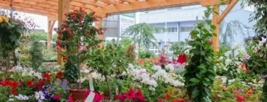 Unternehmen 6 Bild NEUHOLD GARTENCENTER Garten/Pflanzen am Feldkirchen Bei Graz 6