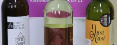 Unternehmen 8 Bild SPIELVOGEL KIRCHENBEDARF Kunstgewerbe, Geschenkartikel Einzelhandel am Wien 9