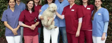 Unternehmen 2 Bild TIERGESUNDHEITSZENTRUM DRES. SCHICHL Ärzte am Gratkorn 6