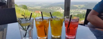 Unternehmen 3 Bild WINZERHOF WIEDNERMICHL Hotel-/Gastronomiegewerbe am Krottendorf Bei Ligist 6
