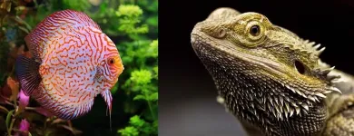 Unternehmen 10 Bild ZOO MUSER GMBH Zoohandlungen am Graz 6