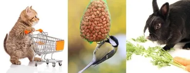 Unternehmen 11 Bild ZOO MUSER GMBH Zoohandlungen am Graz 6