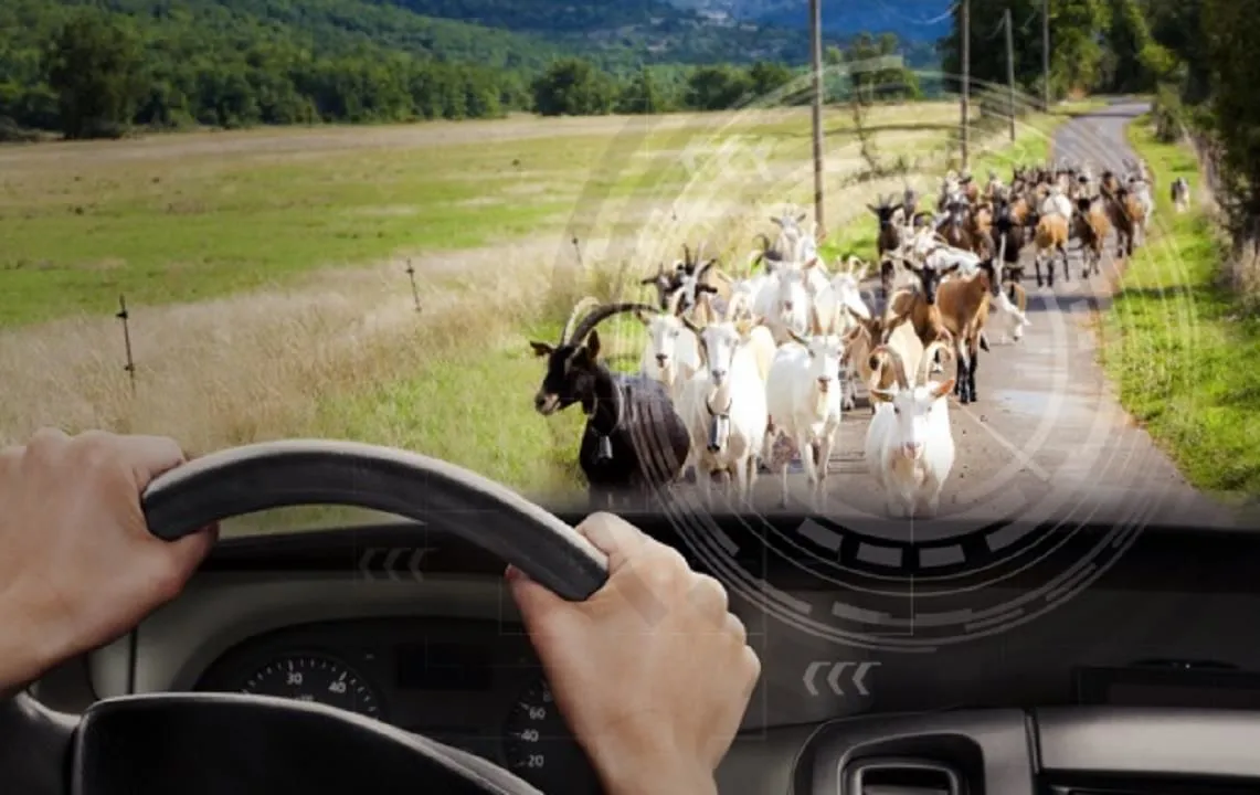 Unternehmen 3 Bild INFAR EFERDING - INSTITUT FÜR NACHSCHULUNG & VERKEHRSPSYCHOLOGISCHE UNTERSUCHUNG