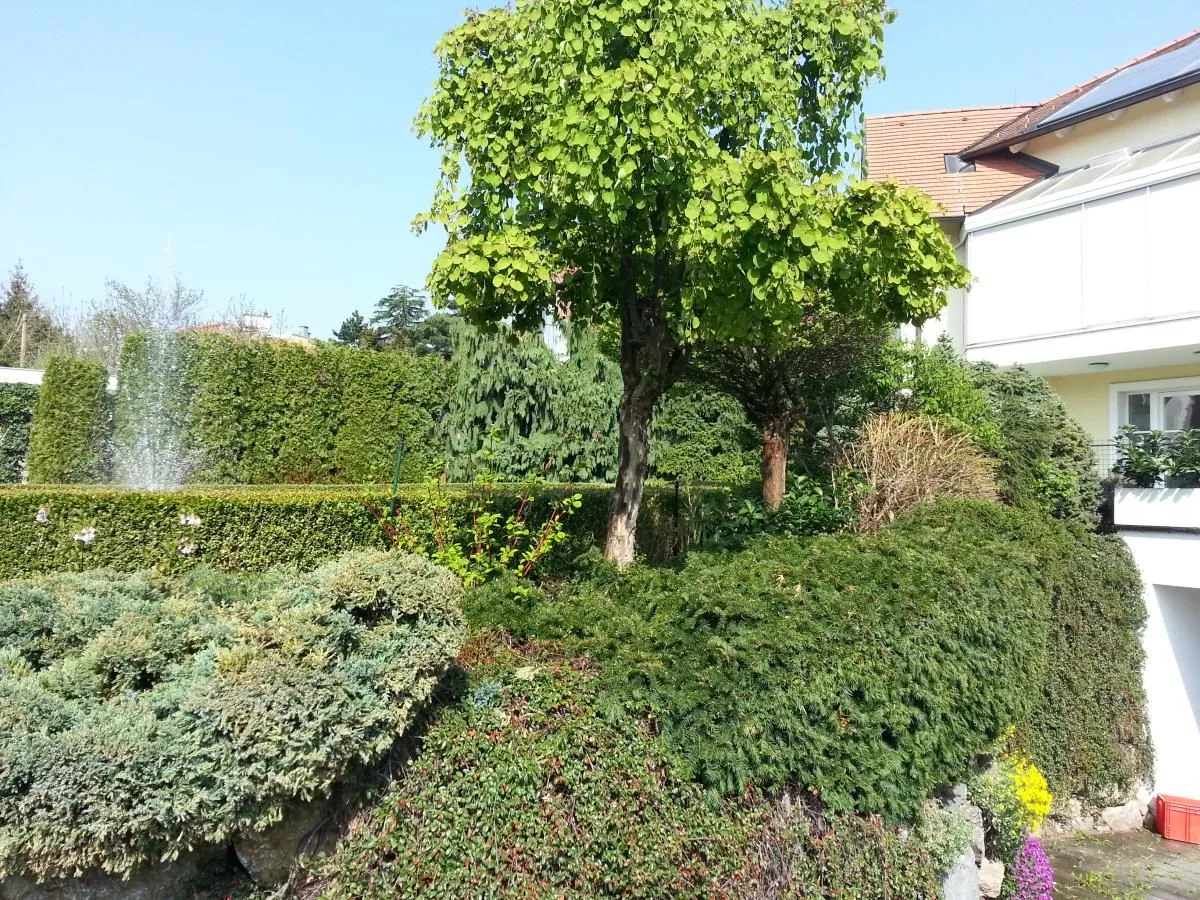 Unternehmen 2 Bild ING. GEROLD REISCHL GARTENGESTALTUNG GMBH