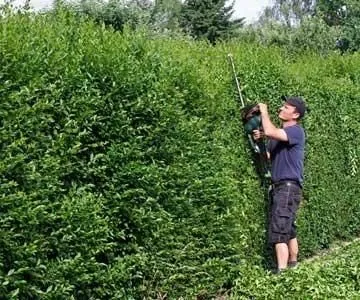 Unternehmen 4 Bild B - OBJEKTREINIGUNG GMBH