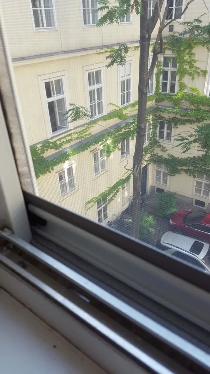 Unternehmen 33 Bild FENSTER SERVICE BLICK