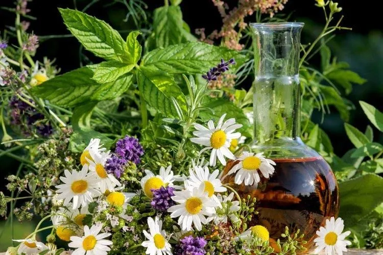 Unternehmen 3 Bild CHRISTOPHORUS APOTHEKE