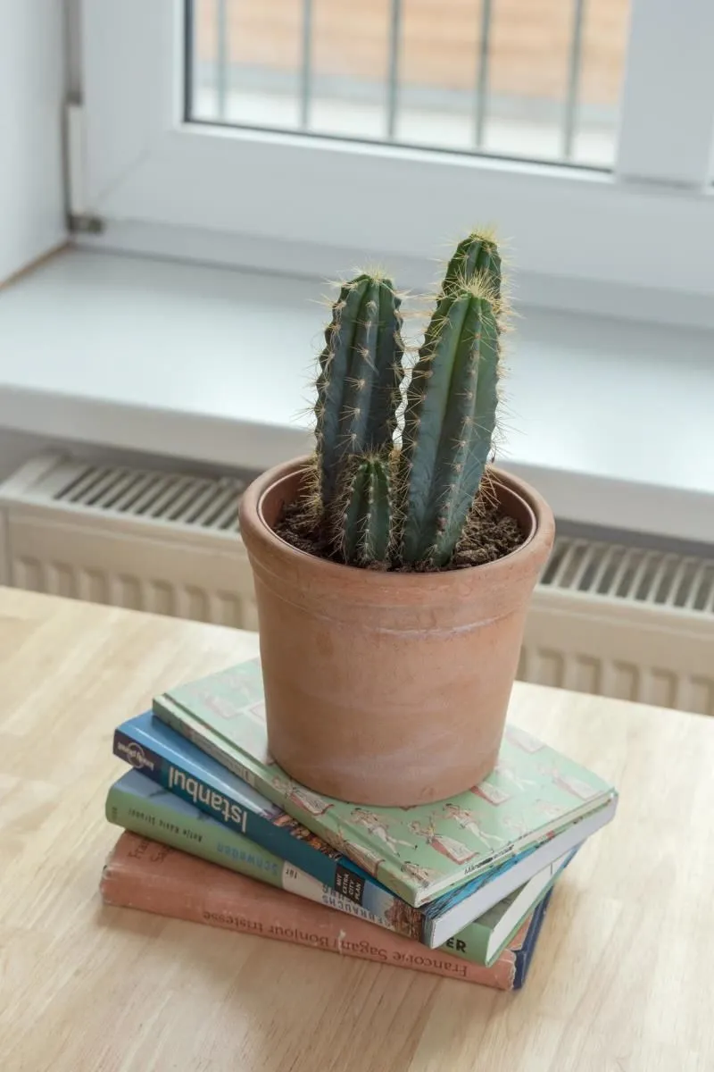 Unternehmen 13 Bild GARTL APARTMENTS & HOSTEL VIENNA