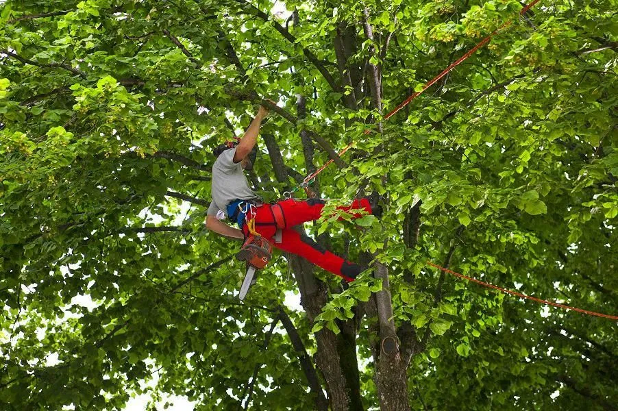 Unternehmen 1 Bild MASCHINENRING EFERDING