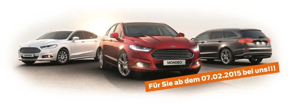 Unternehmen 3 Bild FORD REISINGER GRAZ