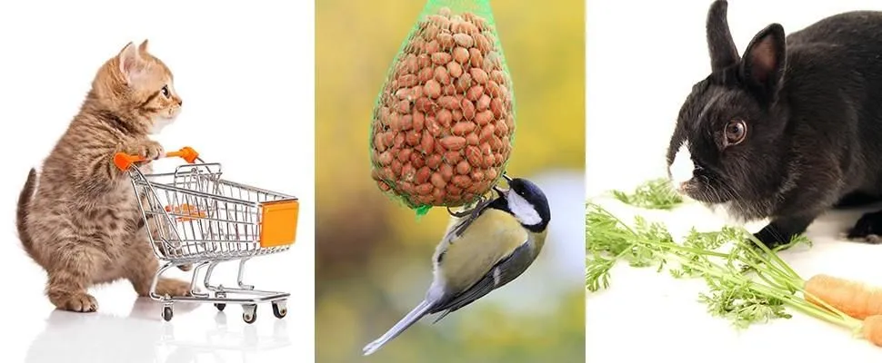Unternehmen 11 Bild ZOO MUSER GMBH