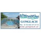 SCHWIMMBECKEN GONGLACH