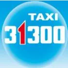 TAXI 31300 VERMITTLUNGSGMBH
