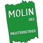 MOLIN OEG